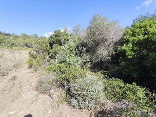  Terrain � vendre 2420 m�