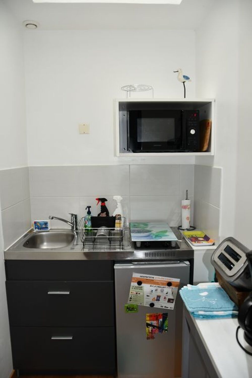 Location Appartement Studio de 19m2 à louer sur Rochefort Rochefort