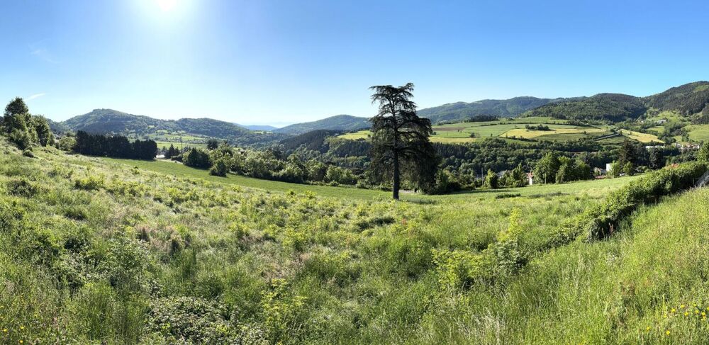 Vente Terrain Bourg Argental 42220 parcelles de terrain constructible Bourg argental
