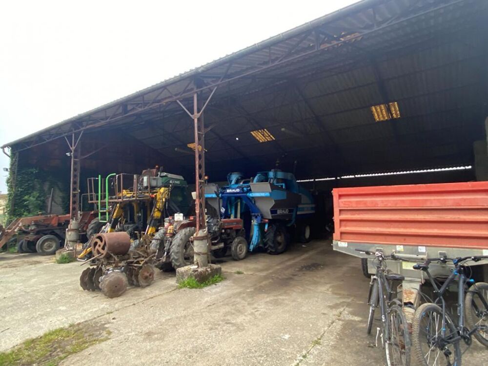 � vendre  Maison Saint-Magne-de-Castillon (33350)