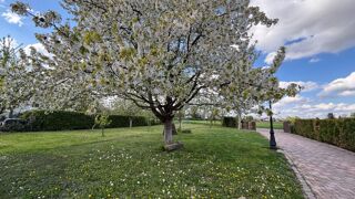  Maison  vendre 12 pices 370 m