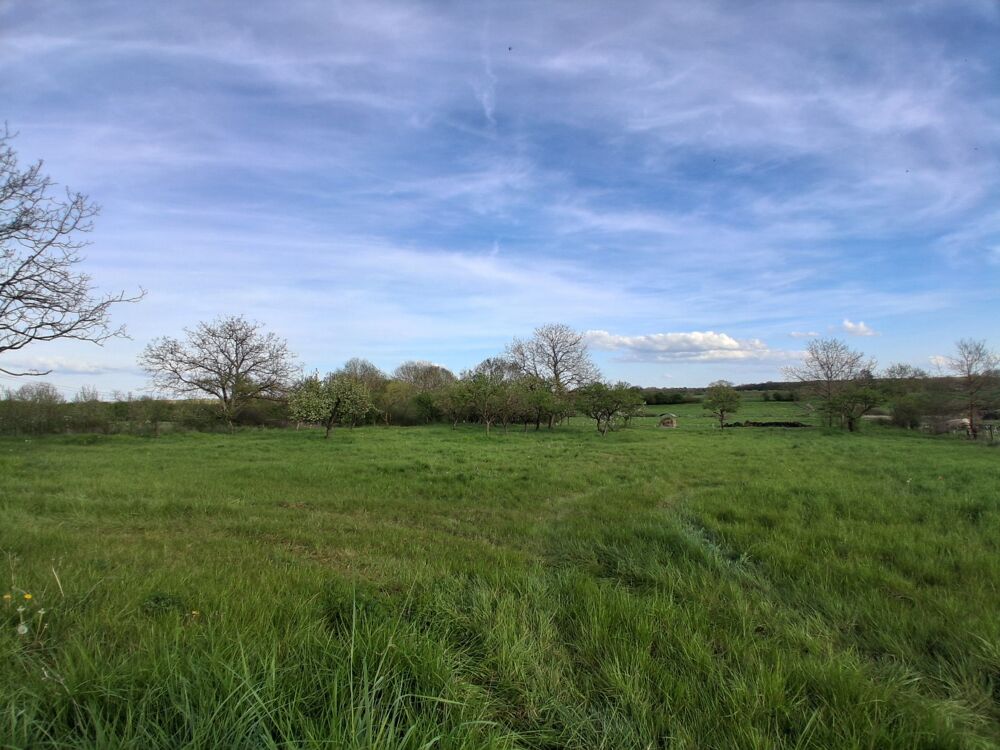 Vente Maison MAISON À RÉHABILITER ET GRANGE 226 M2 EXPLOITABLES / GARAGES ET TERRAIN À JONVILLE-EN-WOËVRE Jonville en woevre
