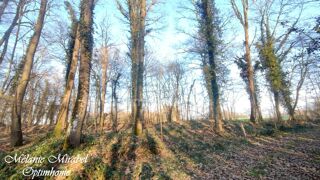 Terrain � vendre 3640 m�