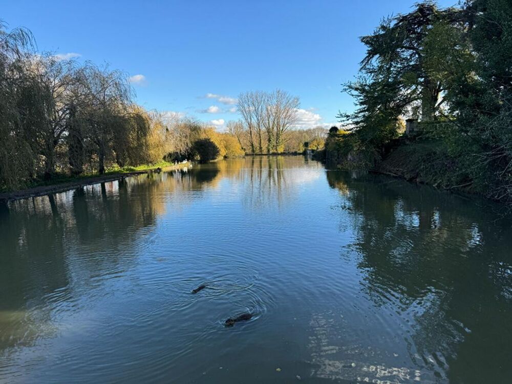  vendre  Proprit/chteau Saint-milion (33330)