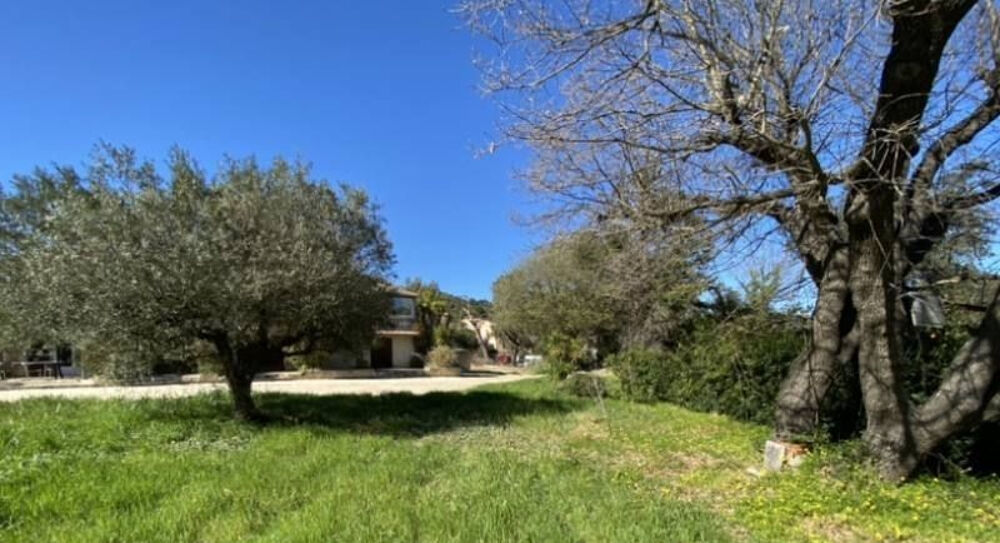  vendre  Maison Bormes-les-Mimosas (83230)