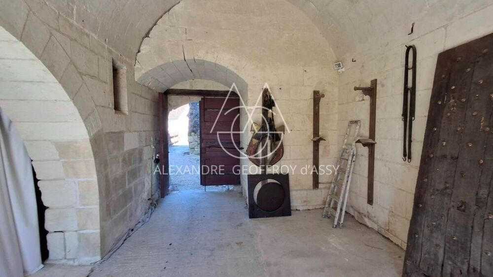 à vendre  Propriété/château Le Blanc (36300)