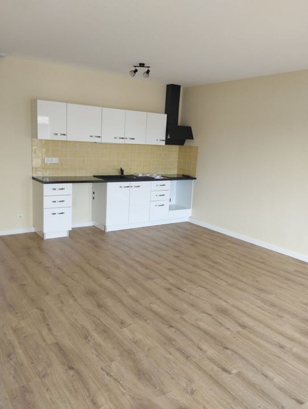 Location Appartement Appartement de 110m2 à louer sur Fenouillet Fenouillet