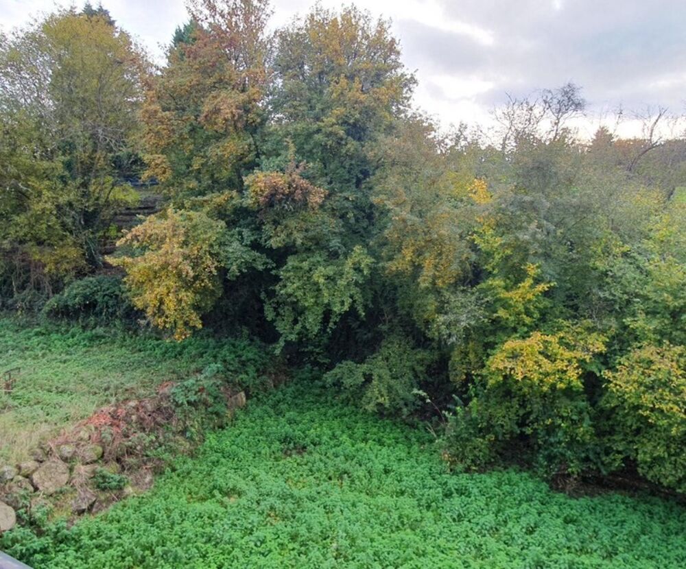 Vente Maison Maison à vendre 4 pièces Bourg de CHENIERS (23) Cheniers