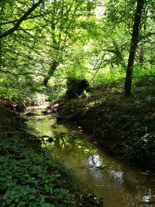  Propri�t�/ch�teau � vendre 15 + pi�ces 330 m�