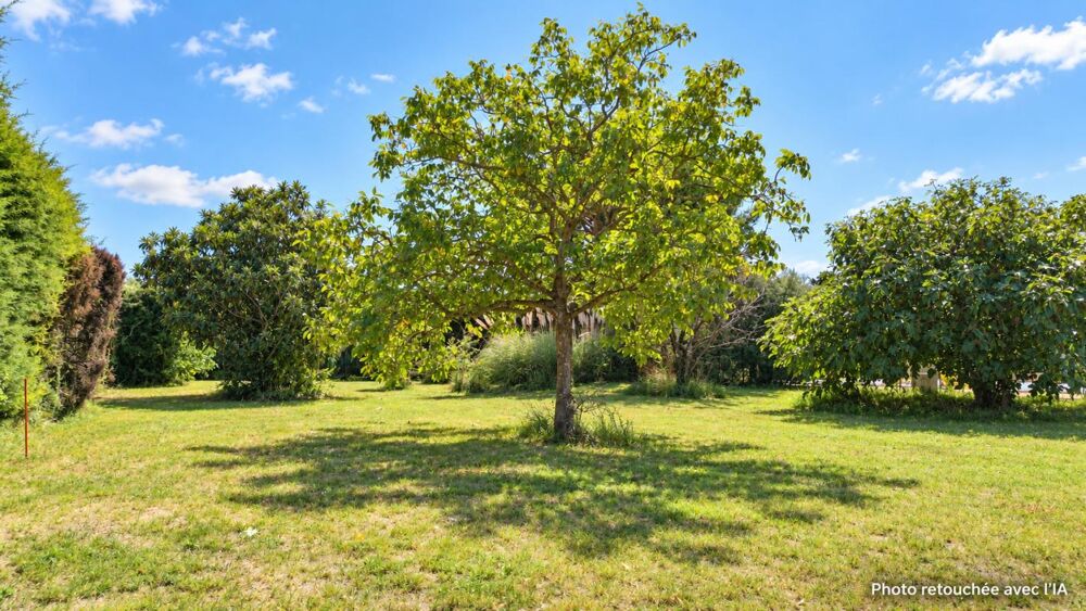 Vente Terrain Terrain constructible de 1 387 m² avec piscine à Aubignan Aubignan