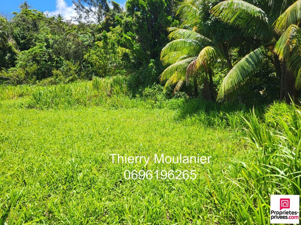 Vente Terrain Trinité, Terrain constructible avec vue mer 11914 m2 La trinite