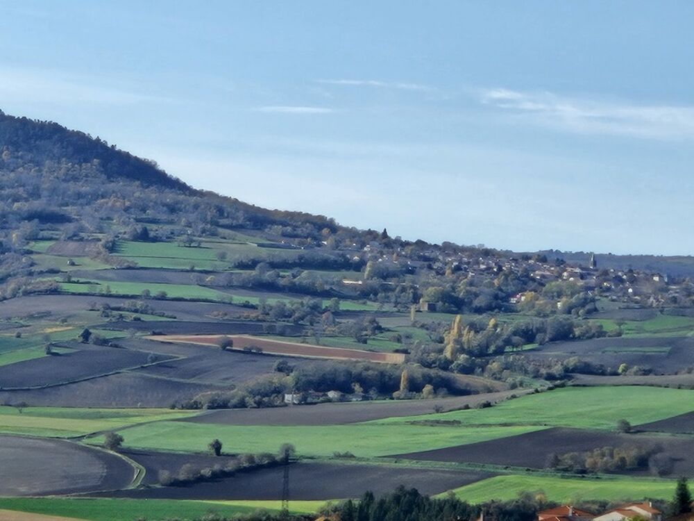 Vente Terrain Terrain de 3092 m2 dont 1573m2 à batir à Veyre-Monton Veyre monton