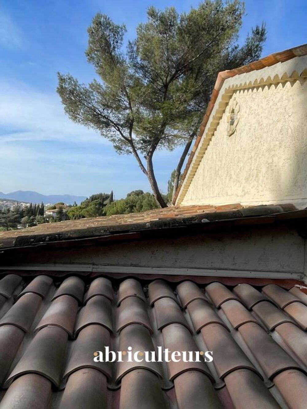 à vendre  Maison Le Cannet (06110)