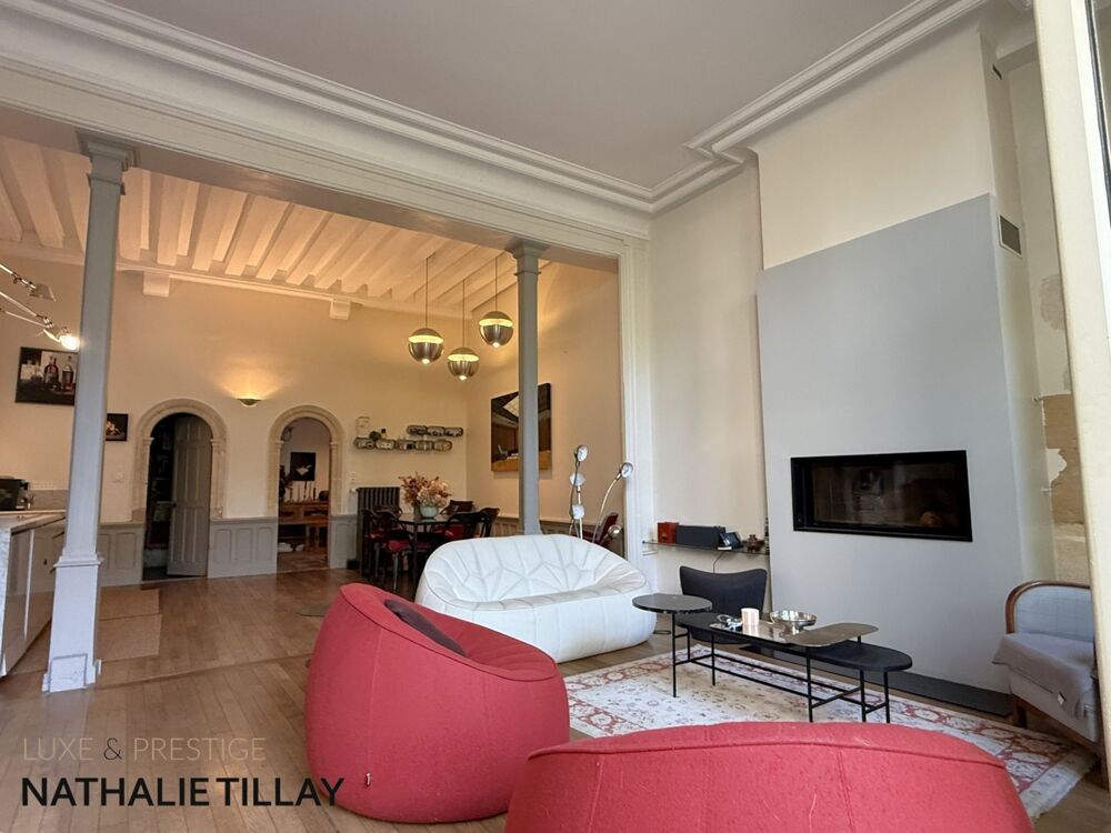 Vente Maison Orleans centre historique, maison hotel particulier, a vendre,  jardin et dependances Orleans