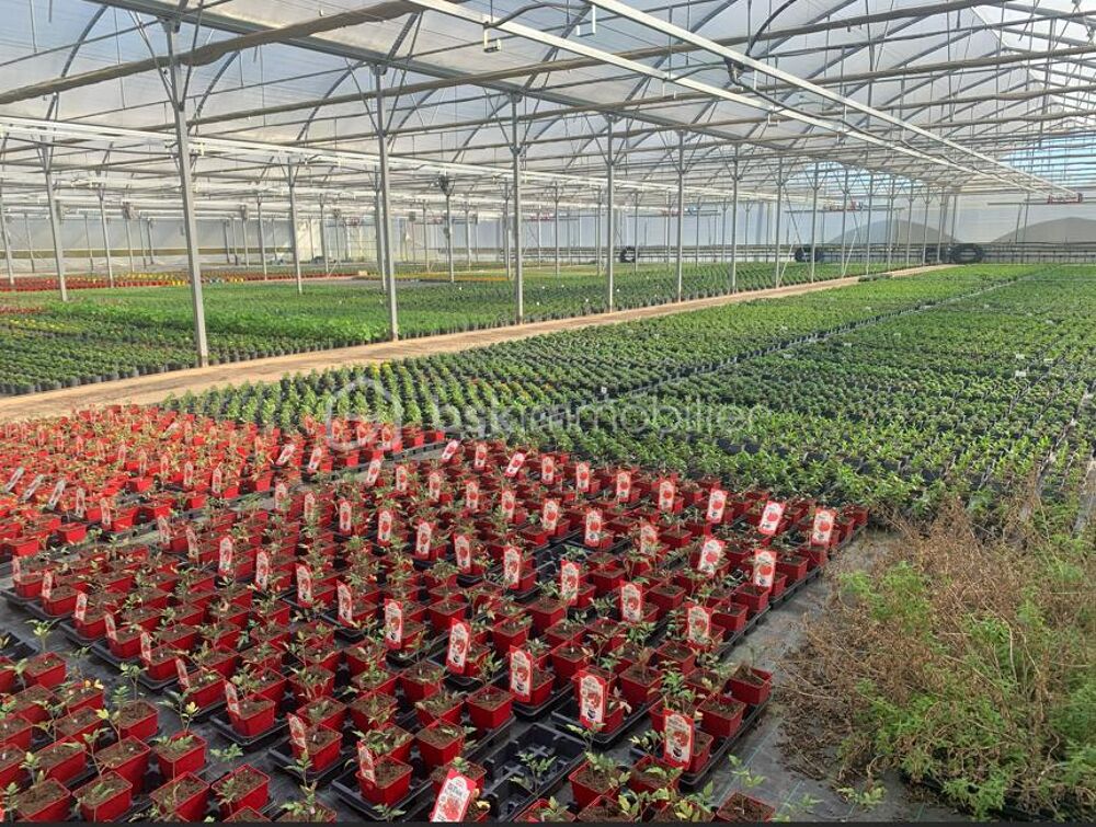 Proche Nogaro - Propriété Horticole de 3ha avec habitation