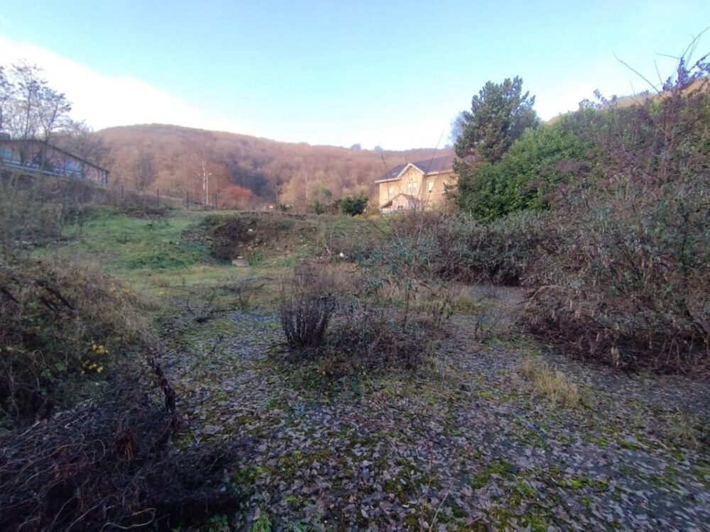 Vente Terrain Terrain libre de constructeur 13 ares Algrange