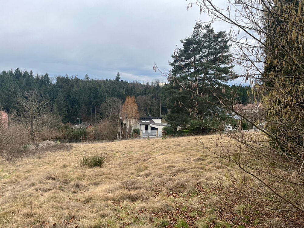 Vente Terrain OBERHASLACH (67) - Station verte - Terrain constructible Oberhaslach