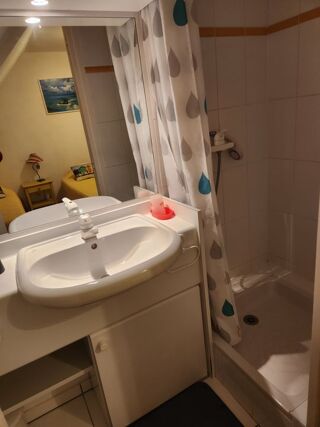  Appartement à louer 3 pièces 47 m²