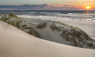  Appartement � vendre 2 pi�ces 42 m�