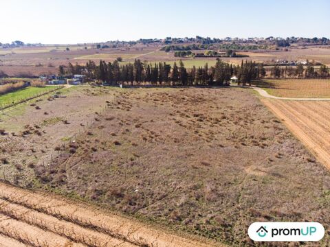 Terrain agricole de 3200 m2 à PORTIRAGNES 54000 Portiragnes (34420)