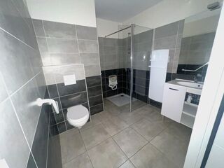  Appartement à louer 1 pièce 42 m²