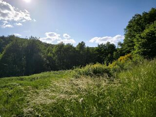  Terrain  vendre 2312 m