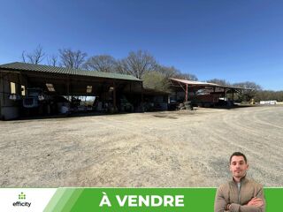  Maison à vendre 10 pièces 5549 m²