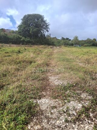  Terrain à vendre 1811 m²