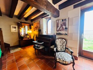  Propriété/château à vendre 15 + pièces 515 m²