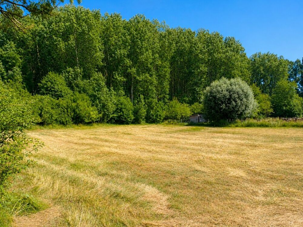 Vente Terrain Terrain à vendre de 3 069,00 m² ROQUETOIRE (62) Roquetoire