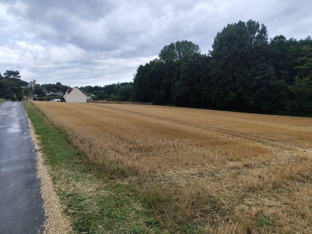 Vente Terrain Terrain à vendre de 4 219,00 m² BETHANCOURT EN VALOIS (60) Bethancourt en valois