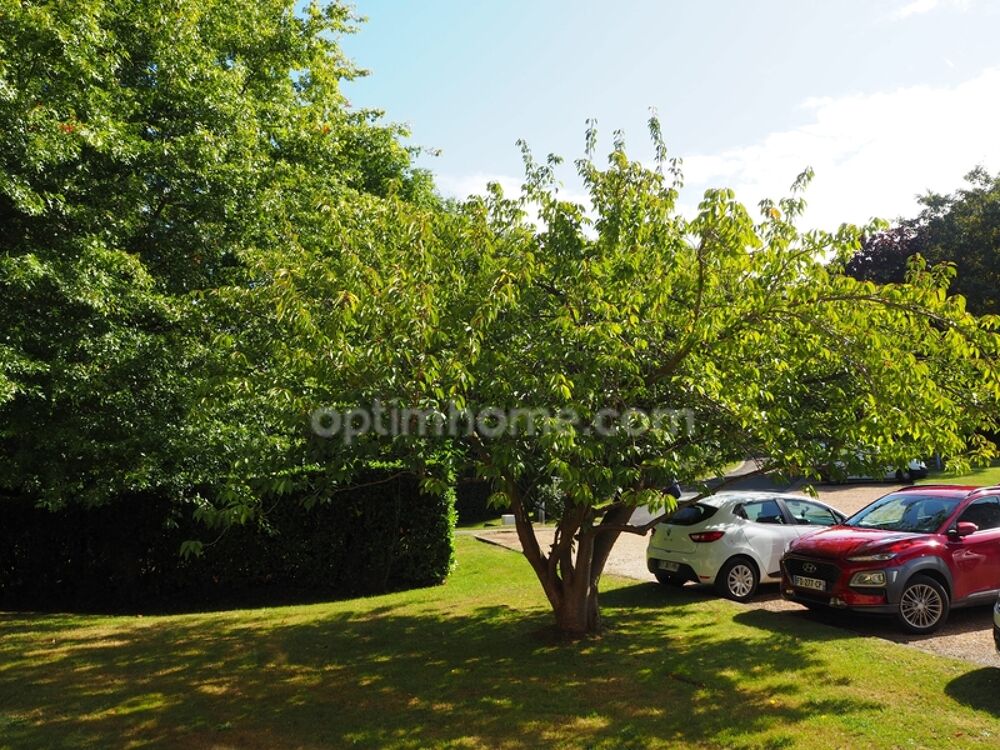 Appartement à vendre à Honfleur  2 pièces 55 m²  Plain-pied  Rénové  Parking  Proche centre et plage