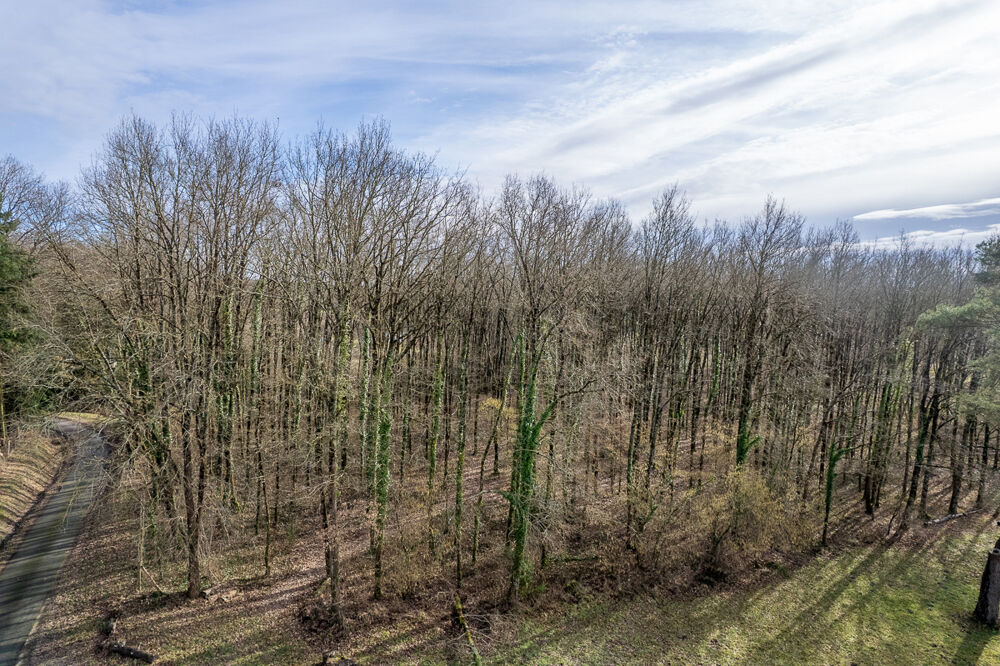 Vente Terrain Terrain constructible - 6783 m² - Boisé - Thenioux