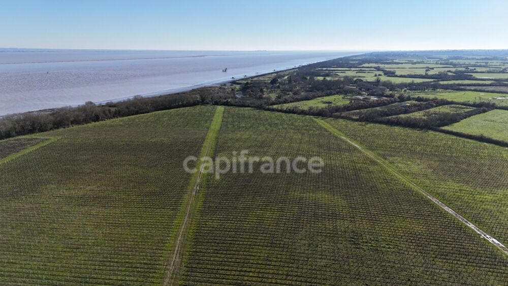  vendre  Proprit/chteau Saint-Yzans-de-Mdoc (33340)