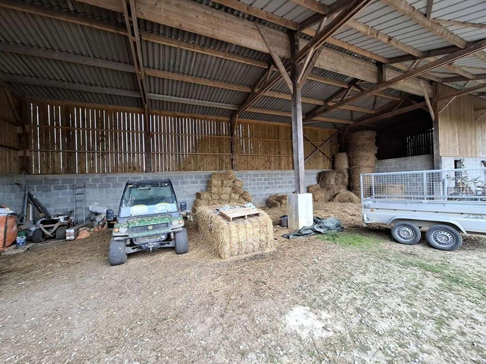 à vendre  Maison Mortagne-au-Perche (61400)