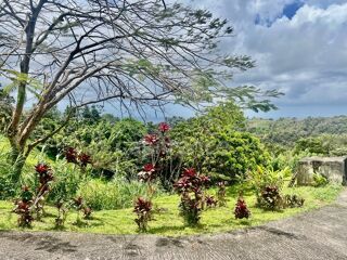  Immeuble � vendre 12 pi�ces 394 m�