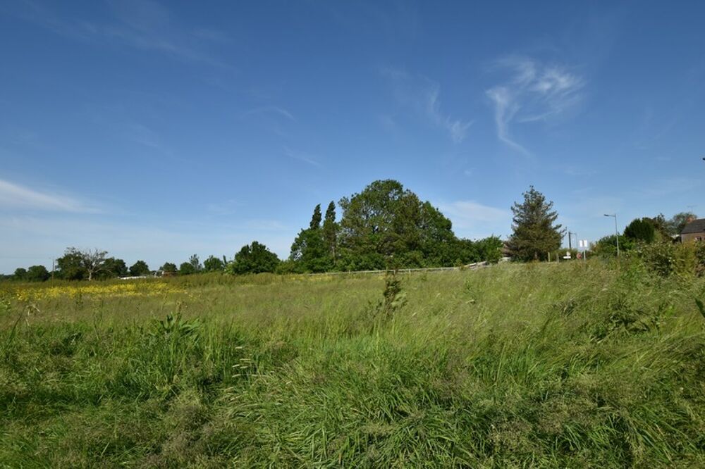 Vente Terrain GRAND TERRAIN A BATIR A LA CAMPAGNE Saint mars la jaille