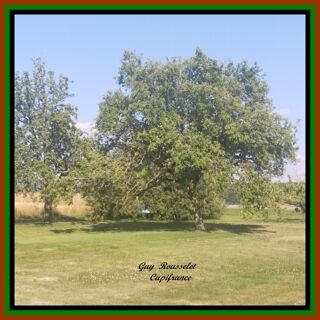  Propri�t�/ch�teau � vendre 9 pi�ces 210 m�