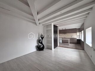  Loft � vendre 2 pi�ces 44 m�