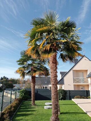  Maison � vendre 6 pi�ces 157 m�