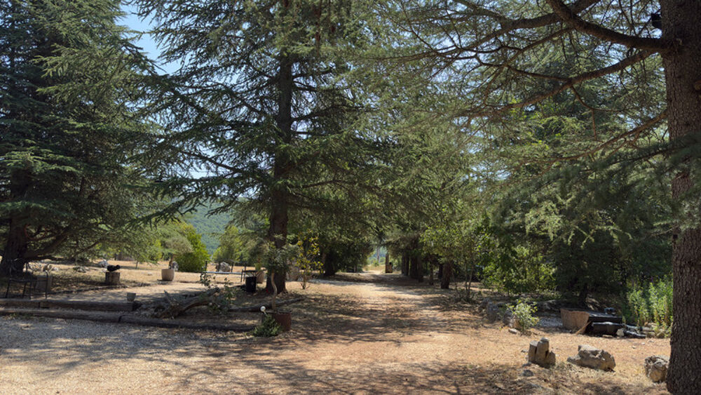 Grande propriété avec Piscine Naturelle - Élégance provençale entre Mont Ventoux et Luberon en EXCLUSIVITÉ