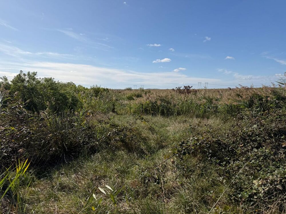 Vente Terrain Terrain agricole de 10 hectares Braud et saint louis