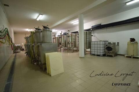   A vendre Local professionnel loué /bureau proche de EPERNAY (51)À vendre – Pressoir - cuverie -stockage -bureaux – 423m2 