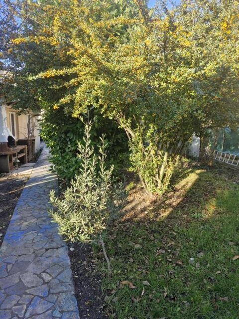  Appartement � louer 1 pi�ce 30 m�