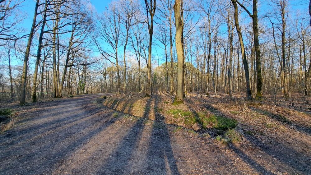 � vendre  Maison Bois-d'Arcy (78390)