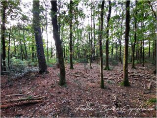  Terrain � vendre 20450 m�