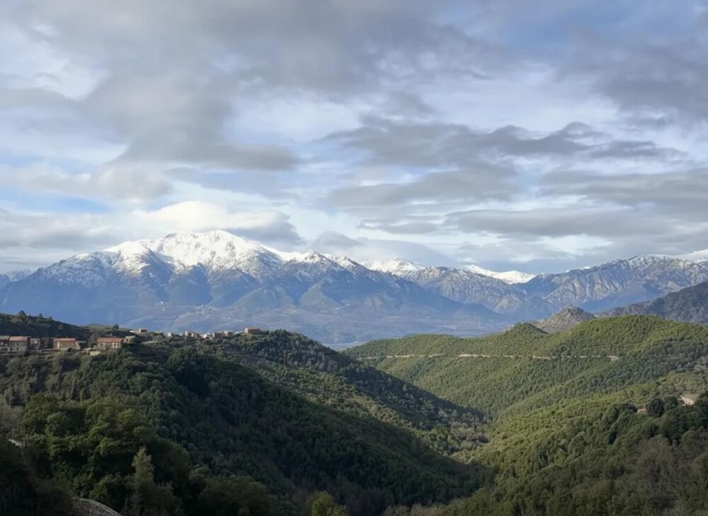 � vendre  Appartement Mazzola (20212)