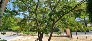  Maison � vendre 7 pi�ces 160 m�