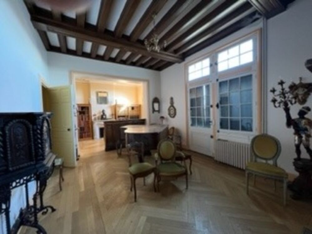 à vendre  Propriété/château Amboise (37400)