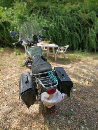 MOTO GUZZI 2020 occasion 66690 Sorede